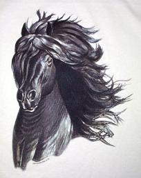 Friesian Majesty Tshirt